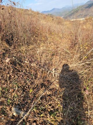 서성환님의 기타작물 · 영농일지 작성글 사진