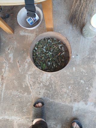 최유순님의 기타작물 · 영농일지 작성글 사진