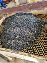 팜모닝 콩·영농일지 게시글 이미지