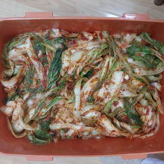 김지철님의 기타작물 · 영농일지 작성글 사진