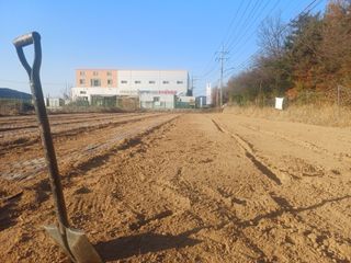 전원수님의 마늘 · 영농일지 작성글 사진