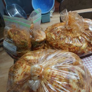 김지철님의 기타작물 · 영농일지 작성글 사진