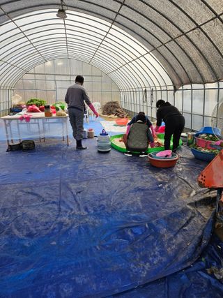 박홍권님의 기타작물 · 영농일지 작성글 사진