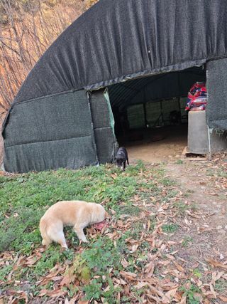 무주설천면 반딧팝님의 기타작물 · 영농일지 작성글 사진