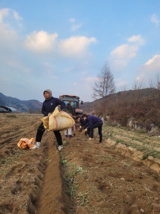 이름유순옥님의 기타작물 · 영농일지 작성글 사진