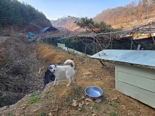 김종협님의 기타작물 · 영농일지 작성글 사진