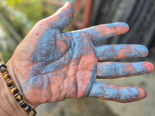 늘햇살팜 님의 기타작물 · 영농일지 작성글 사진