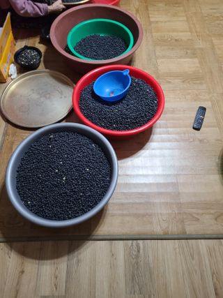 고추님의 콩 · 영농일지 작성글 사진