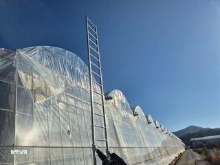 늘햇살팜 님의 기타작물 · 영농일지 작성글 사진