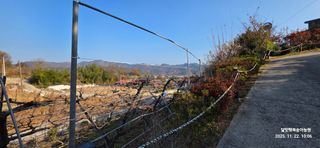 달맛햇복숭아농원님의 복숭아 · 영농일지 작성글 사진