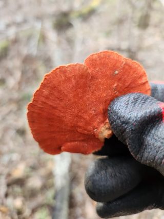 김영옥님의 기타작물 · 영농일지 작성글 사진