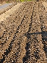 팜모닝 기타작물·영농일지 게시글 이미지