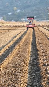 팜모닝 기타작물·영농일지 게시글 이미지