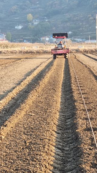 믿고사는농원-송미경님의 기타작물 · 영농일지 작성글 사진