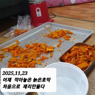 시민농장님의 기타작물 · 영농일지 작성글 사진