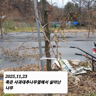 시민농장님의 기타작물 · 영농일지 작성글 사진