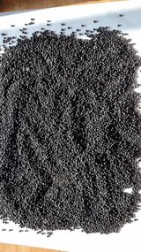 팜모닝 기타작물·영농일지 게시글 이미지