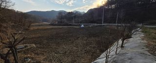 강호지인님의 기타작물 · 영농일지 작성글 사진