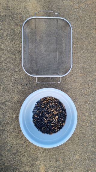 김지철님의 기타작물 · 영농일지 작성글 사진