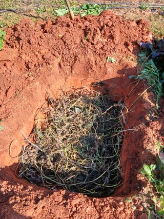 김형수님의 기타작물 · 영농일지 작성글 사진