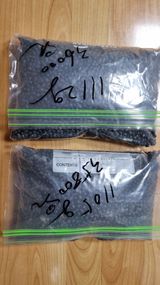 팜모닝 기타작물·영농일지 게시글 이미지