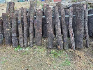 경주농장님의 버섯 · 영농일지 작성글 사진