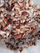 팜모닝 마늘·영농일지 게시글 이미지