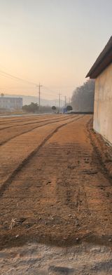 팜모닝 사과·영농일지 게시글 이미지