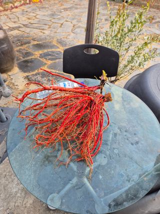 황찬용님의 기타작물 · 영농일지 작성글 사진