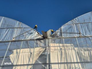 늘햇살팜 님의 기타작물 · 영농일지 작성글 사진