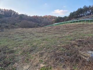 김기탁님의 기타작물 · 영농일지 작성글 사진