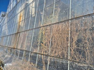 늘햇살팜 님의 기타작물 · 영농일지 작성글 사진