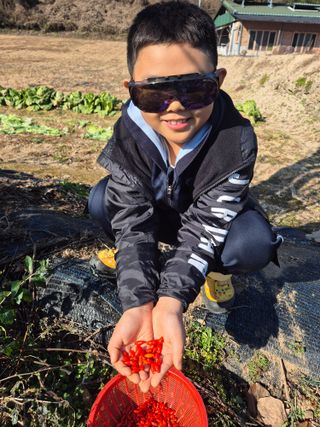 김기탁님의 기타작물 · 영농일지 작성글 사진