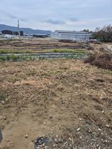 팜모닝 기타작물·영농일지 게시글 이미지