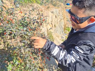 김기탁님의 기타작물 · 영농일지 작성글 사진