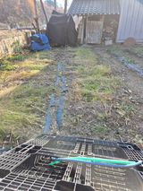 팜모닝 기타작물·영농일지 게시글 이미지