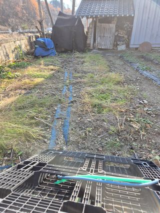 김기탁님의 기타작물 · 영농일지 작성글 사진