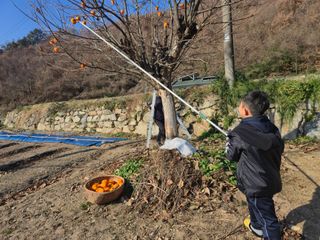 김기탁님의 기타작물 · 영농일지 작성글 사진