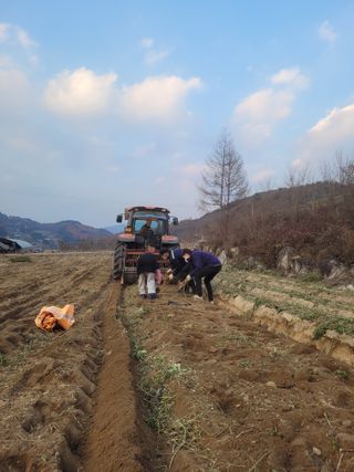이름유순옥님의 기타작물 · 영농일지 작성글 사진