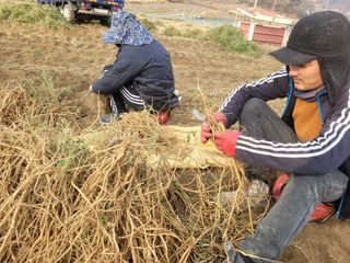 이름유순옥님의 기타작물 · 영농일지 작성글 사진