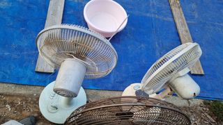 김지철님의 기타작물 · 영농일지 작성글 사진