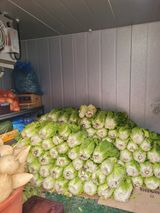 팜모닝 배추·영농일지 게시글 이미지