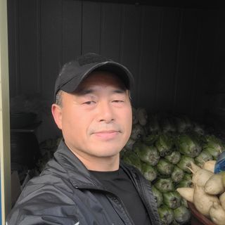 정지덕님의 배추 · 영농일지 작성글 사진