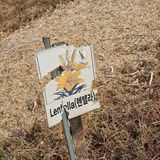 팜모닝 기타작물·영농일지 게시글 이미지