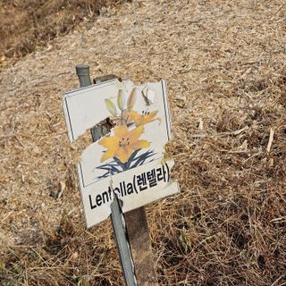 이주환님의 기타작물 · 영농일지 작성글 사진