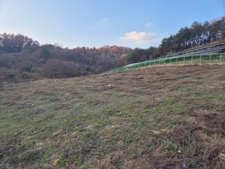 김기탁님의 기타작물 · 영농일지 작성글 사진