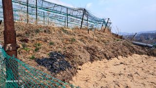 조연만님의 기타작물 · 영농일지 작성글 사진