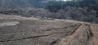 김제일님의 기타작물 · 영농일지 작성글 사진