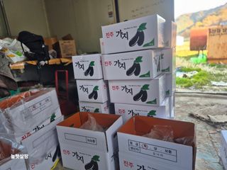 늘햇살팜 님의 기타작물 · 영농일지 작성글 사진