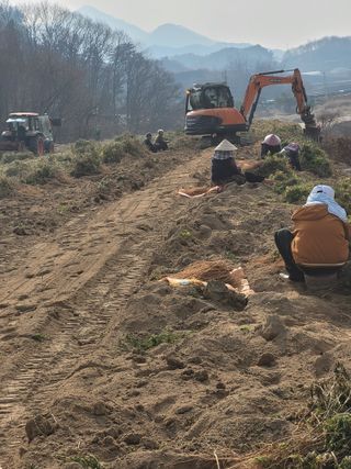 이름유순옥님의 기타작물 · 영농일지 작성글 사진